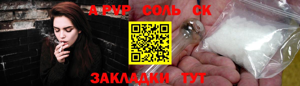 Alfa_PVP  A-PVP СК КРИС  Вход с VPN  Аргун 