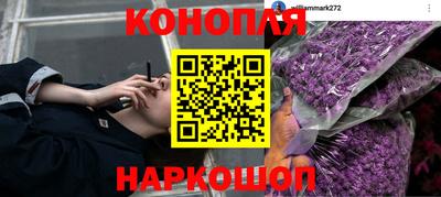 Альфа ПВП Апшеронск