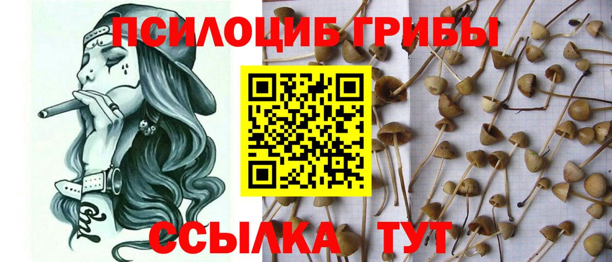 Галлюциногенные грибы ЛСД Аргун