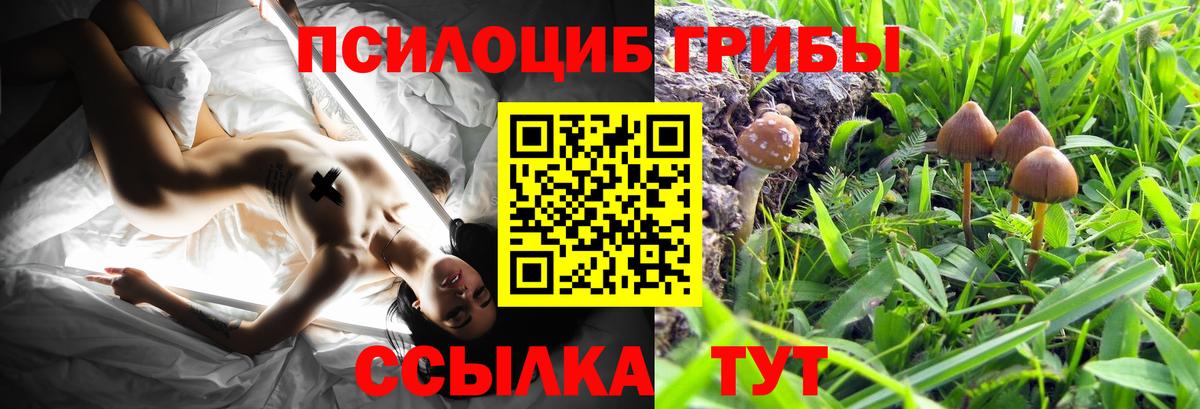 МЕТ  Вейп ТГК  Вход с VPN  Аргун  Каннабис  Гашиш  КОКАИН  Меф кристаллы  Метадон  Кетамин 