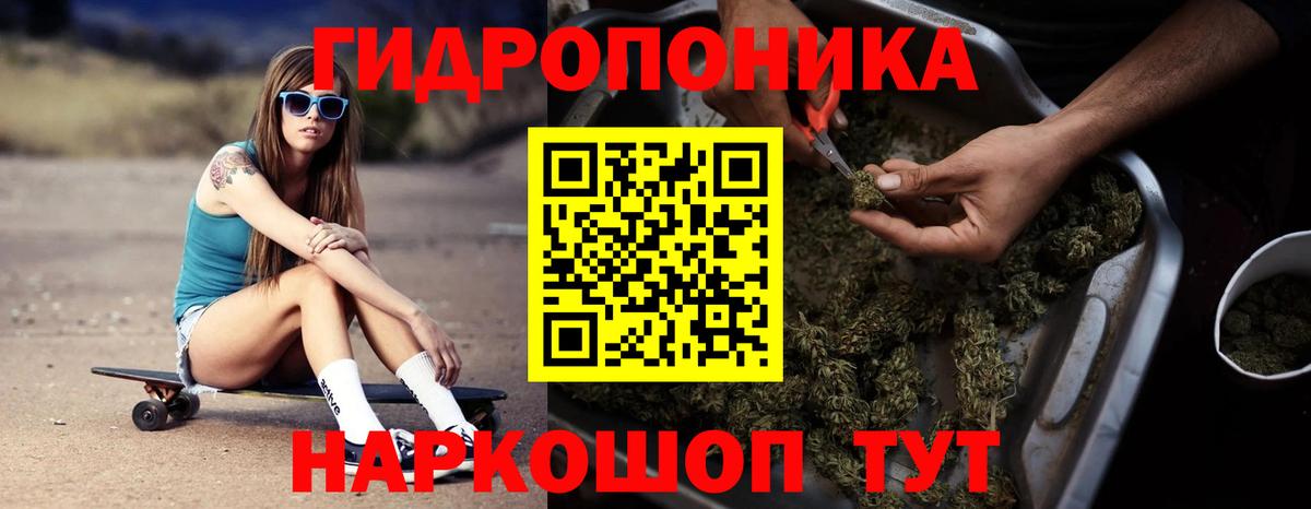 Аргун  Марихуана White Widow  Марихуана план  Канабис индика  Вход с VPN 